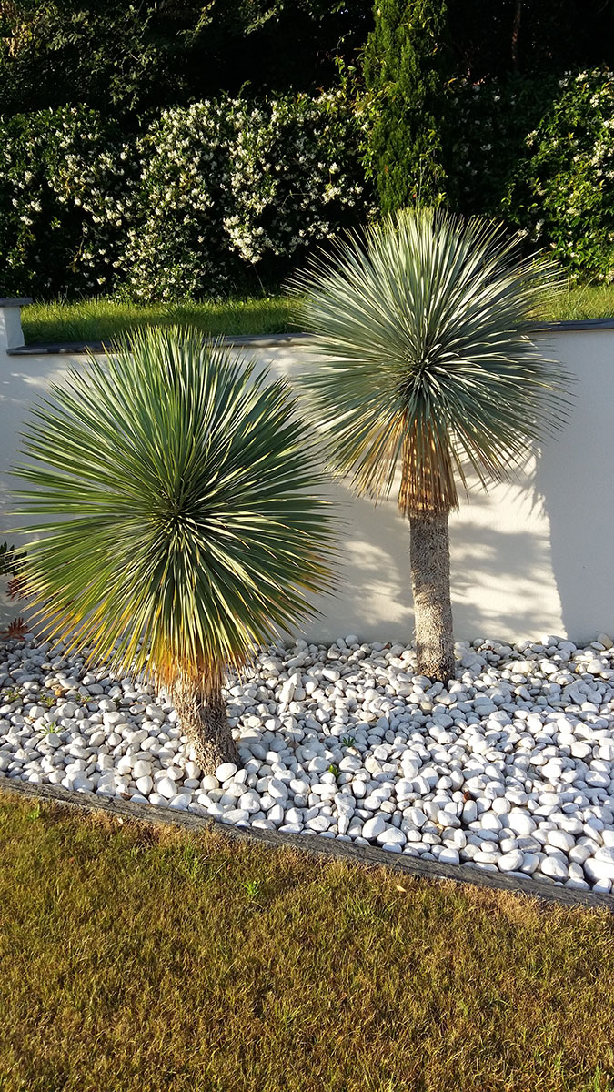 Entretien de jardin Bziers